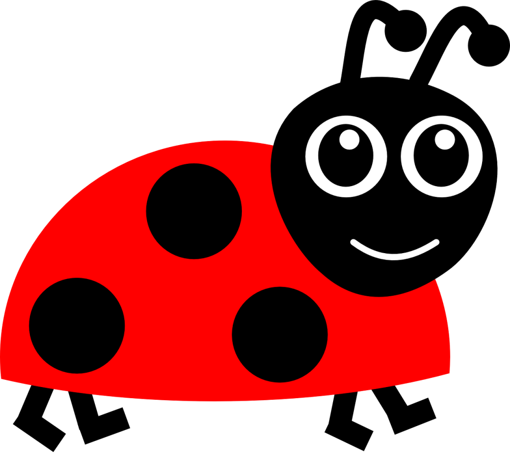 Marienkäfer