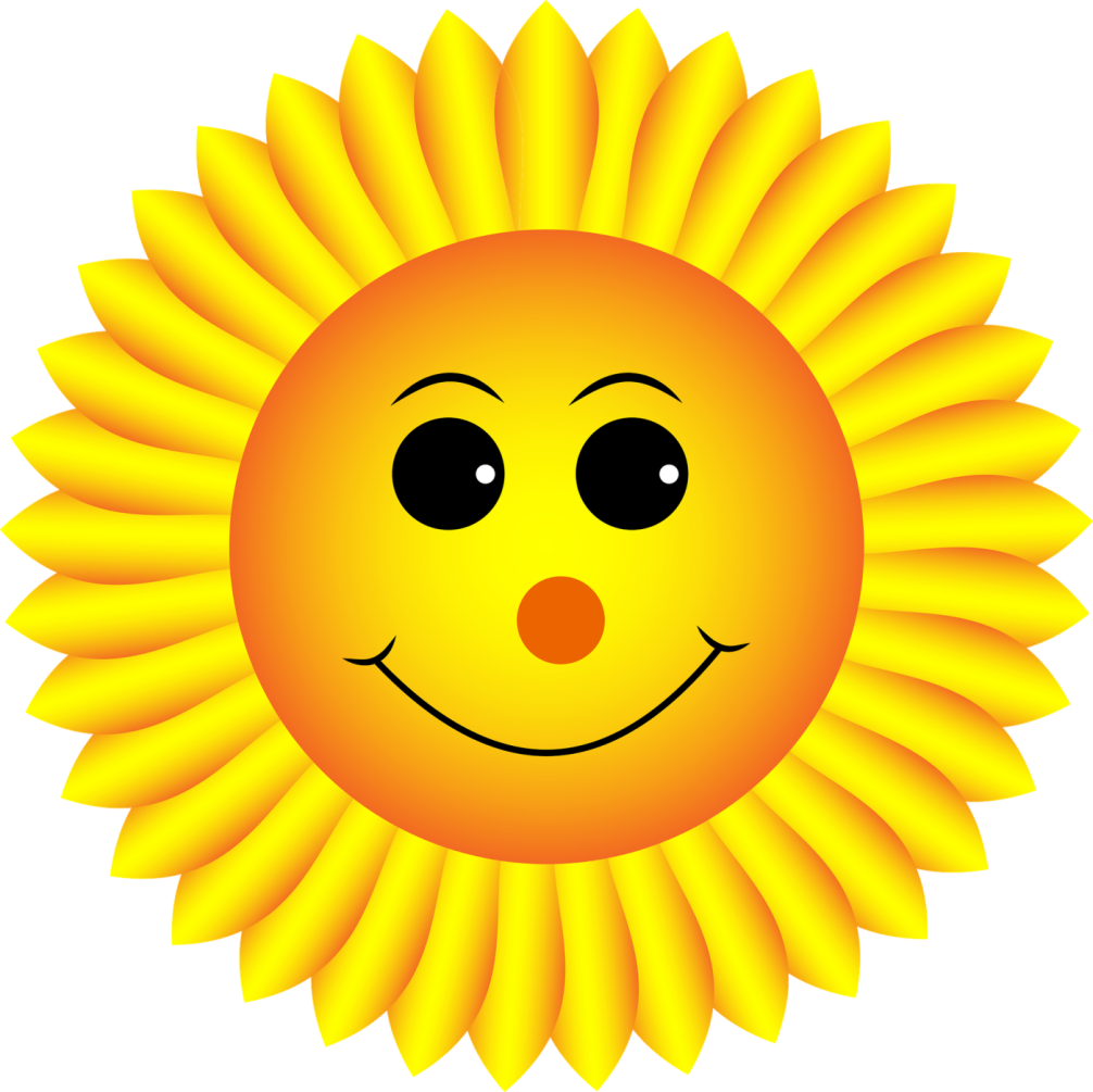Sonnenblume